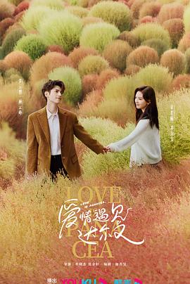 网站二级目录优化方案